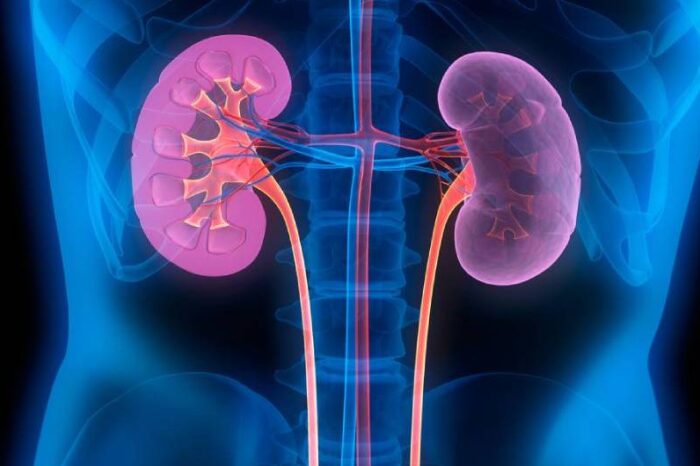 Best Nephrologist in Rahata, Ahmednagar | Kidney Disease Specialist Hospital