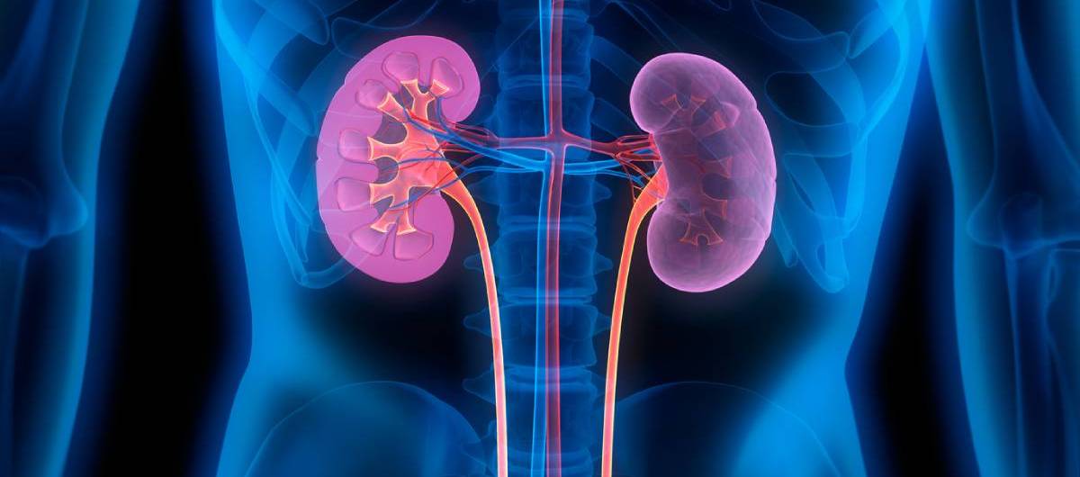 Best Nephrologist in Rahata, Ahmednagar | Kidney Disease Specialist Hospital